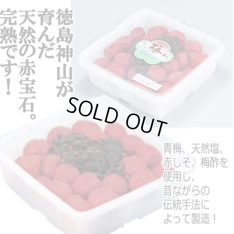 画像2: 伝統手法神山の梅干し［1Kg］ (2)