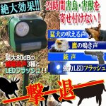 画像1: ソーラー式威嚇ロボット「ビッグバン」 (1)