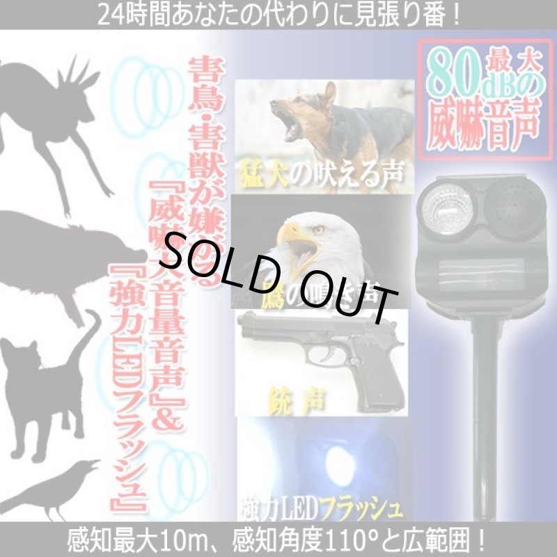 画像3: ソーラー式威嚇ロボット「ビッグバン」 (3)