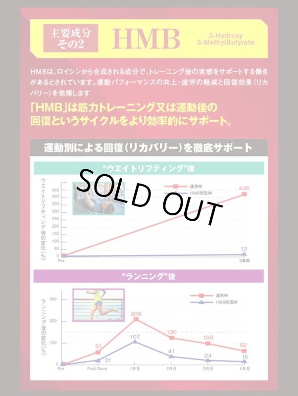 画像6: 瞬間元気チャージ「リカバリスト」(1パック/10回分) (6)