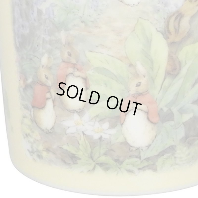 画像4: ピーターラビット2019イヤーズマグカップ (4)