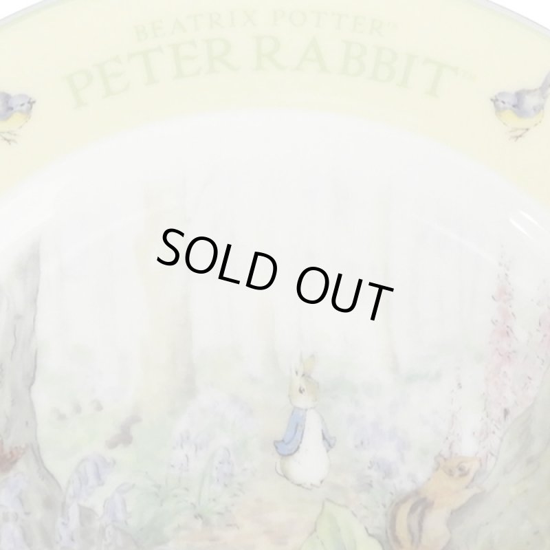 画像4: ピーターラビット2019イヤーズプレート  (4)