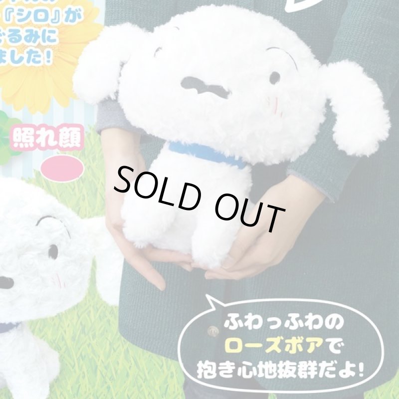 画像2: クレヨンしんちゃん「シロ・ローズボアお座りぬいぐるみ25cm」 (2)