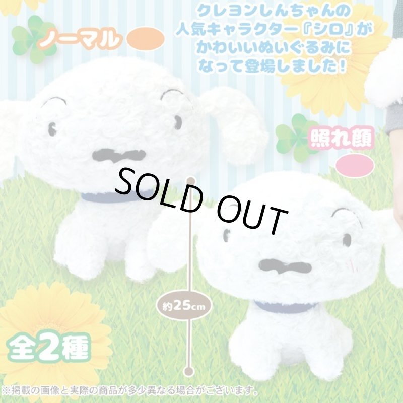 画像3: クレヨンしんちゃん「シロ・ローズボアお座りぬいぐるみ25cm」 (3)