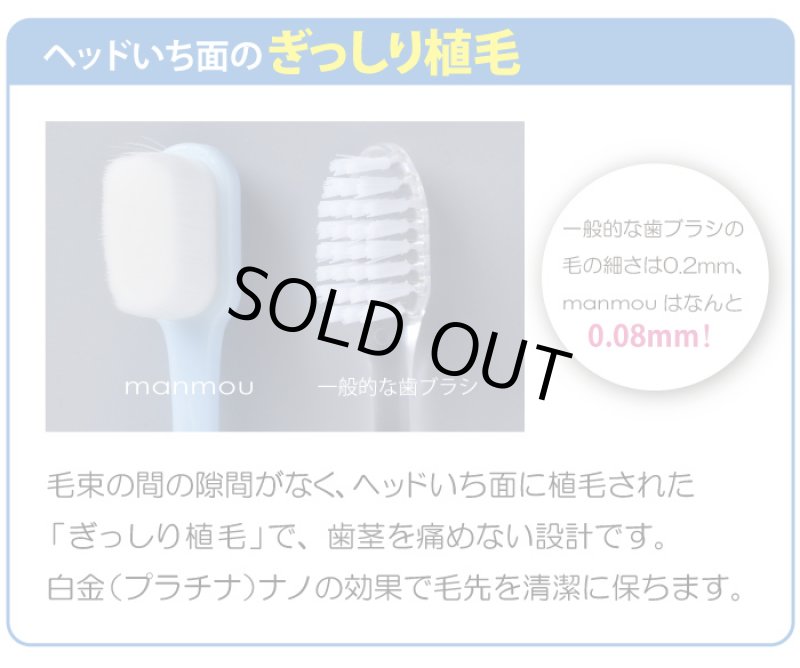 画像10: プラチナナノ歯ブラシmanmou (10)