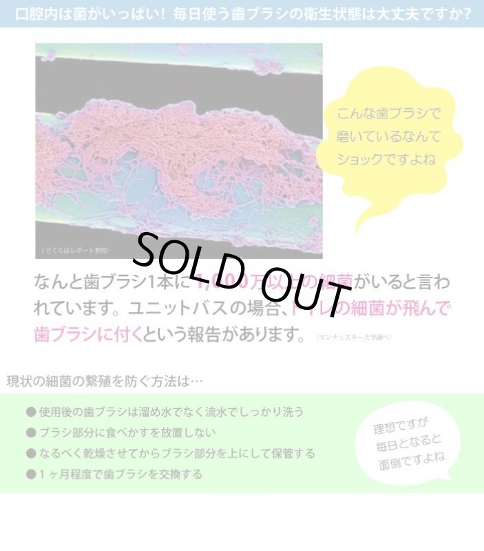 画像3: プラチナナノ歯ブラシmanmou (3)