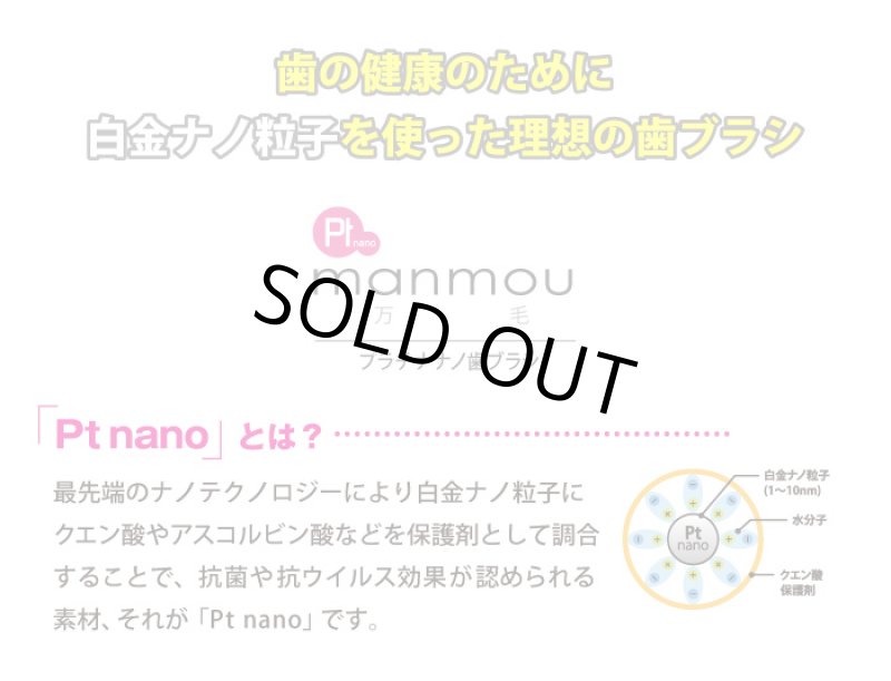 画像2: プラチナナノ歯ブラシmanmou (2)