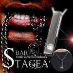 画像7: STAGEA（ステージア）キュービックジルコニアネックレス-BAR.Type- (7)