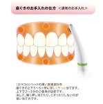 画像4: 歯茎専用温熱＆音波振動「カラコル」 (4)