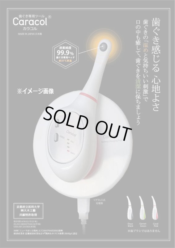 画像2: 歯茎専用温熱&音波振動「カラコル」 (2)
