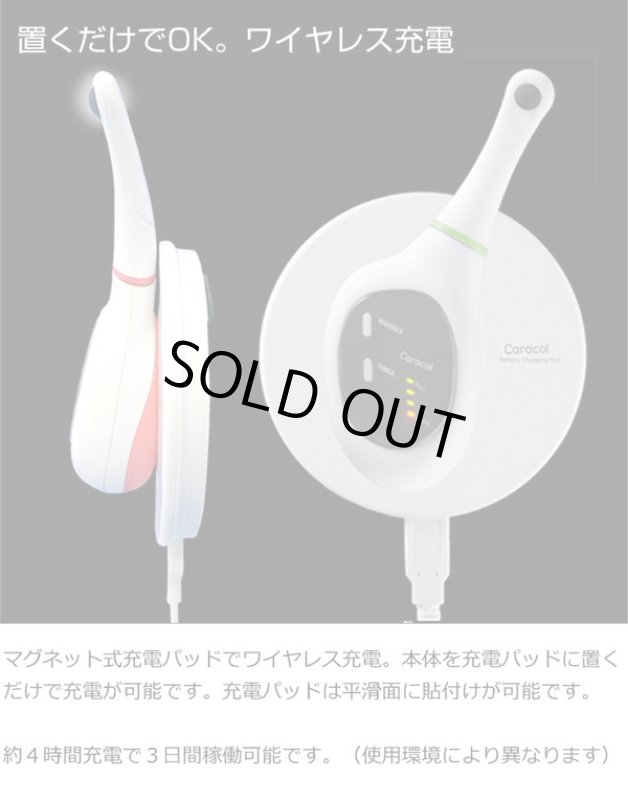 画像3: 歯茎専用温熱&音波振動「カラコル」 (3)