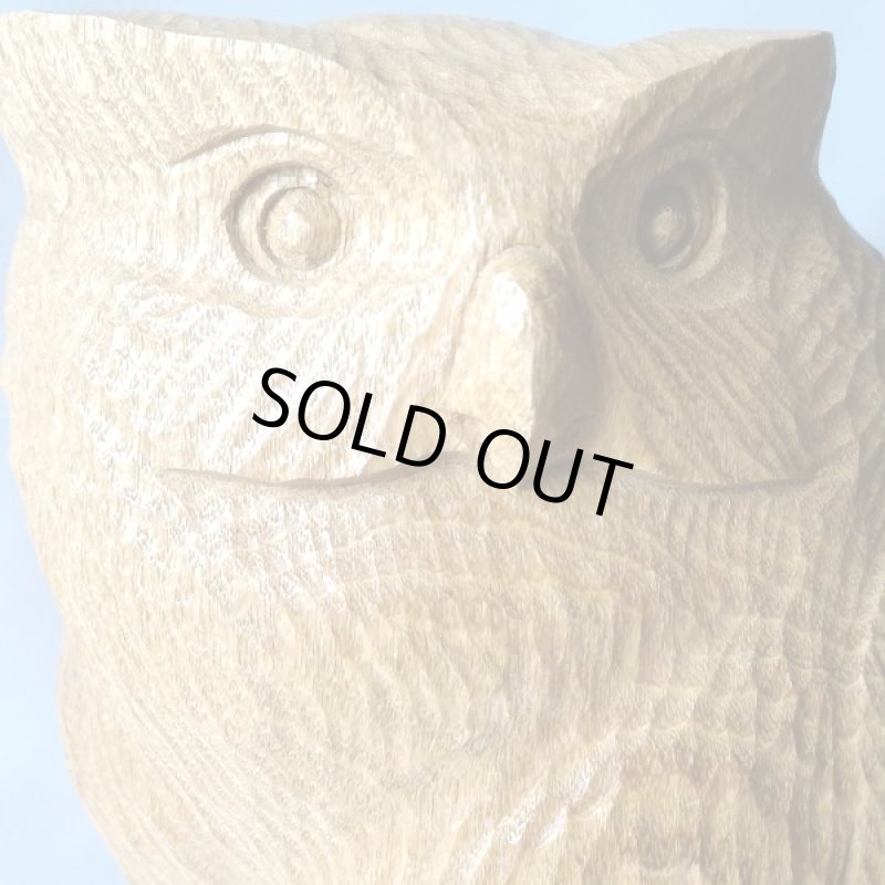 画像3: 特別限定・北の使者「シマフクロウ」 (3)