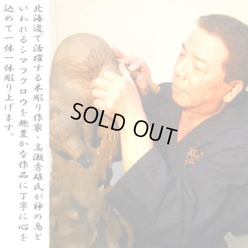 画像5: 特別限定・北の使者「シマフクロウ」 (5)