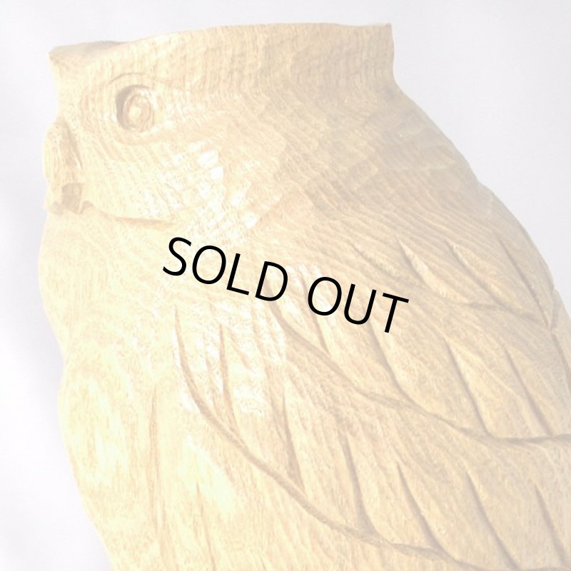 画像4: 特別限定・北の使者「シマフクロウ」 (4)