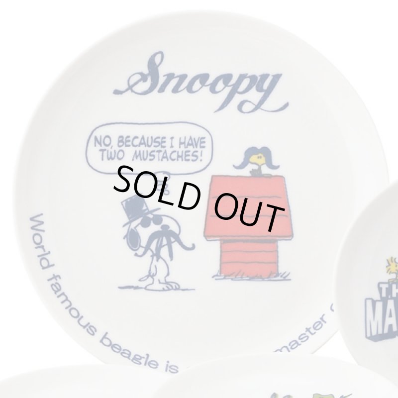 画像3: MANYスヌーピーベリーセット (3)