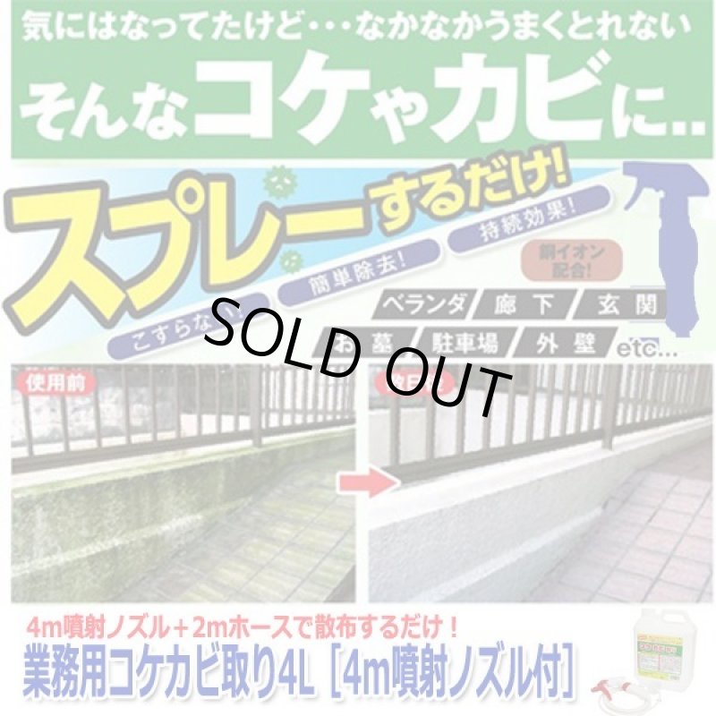 画像1: 業務用コケカビ取り4L［4m噴射ノズル付］ (1)