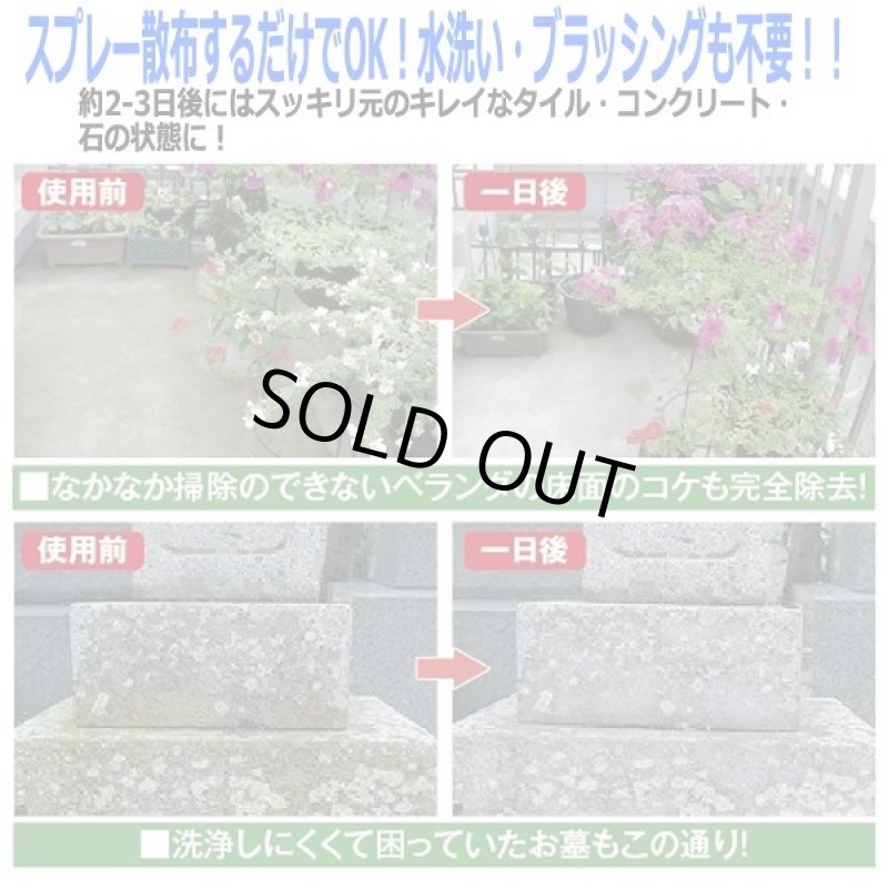 画像2: 業務用コケカビ取り4L［4m噴射ノズル付］ (2)