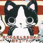 画像5: まんまるお目めにゃんこ「シェル型ポーチ」 (5)