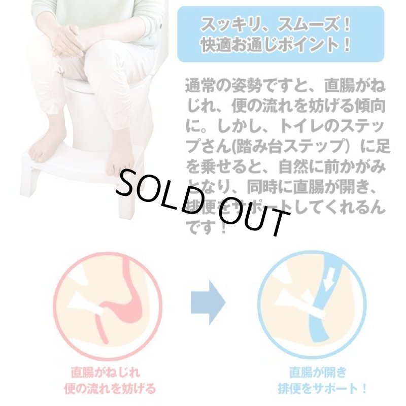 画像2: トイレのステップさん (2)