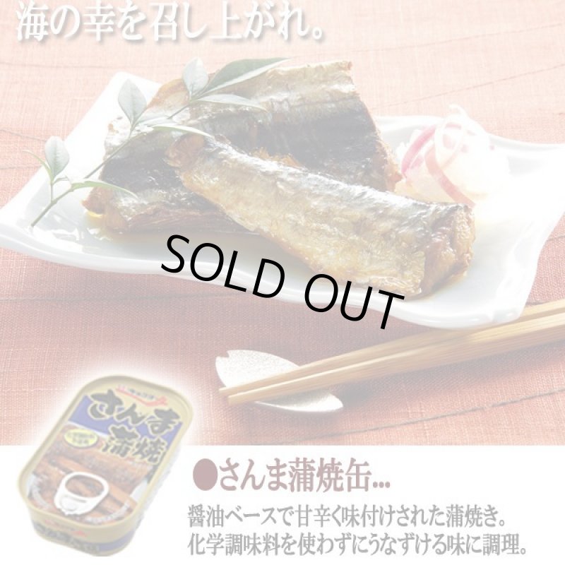 画像5: さかなグルメ缶4種 計24缶セット (5)