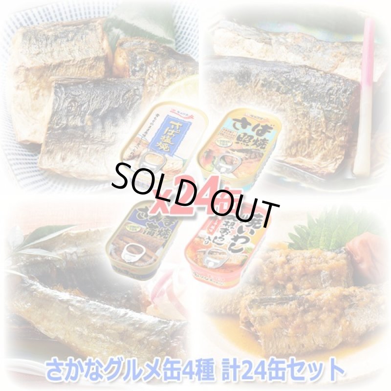 画像7: さかなグルメ缶4種 計24缶セット (7)