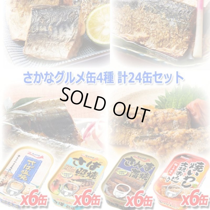 画像1: さかなグルメ缶4種 計24缶セット (1)
