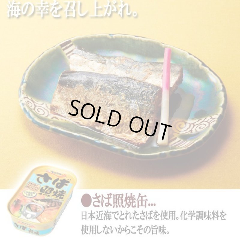 画像4: さかなグルメ缶4種 計24缶セット (4)