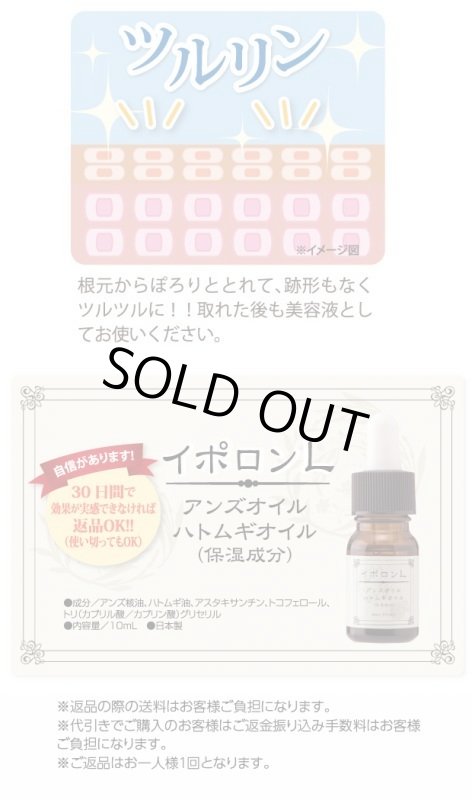 画像11: イポロンL (11)