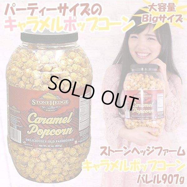 キャラメル 日邦製菓 ミルクキャラメル 273g: 成城石井｜JAL Mall