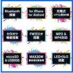 画像3: Bluetoothリチャージブルポータブルスピーカー「デシベルギアPro30」PS-DG001  (3)