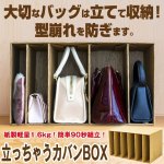 画像1: 立っちゃうカバンBOX (1)