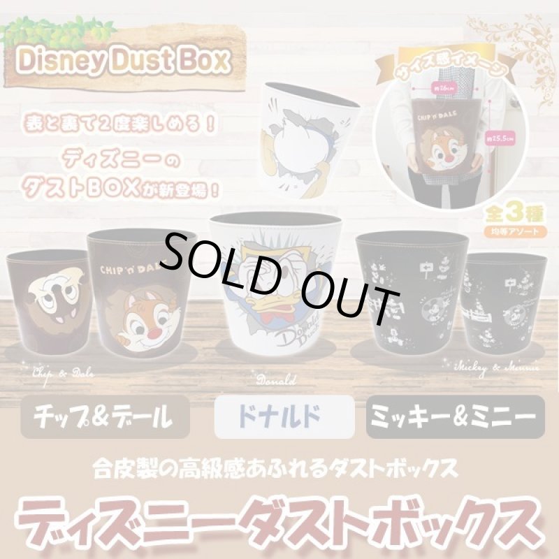 画像1: ディズニーダストボックス (1)