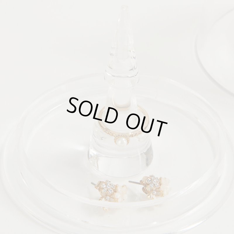 画像6: リングホルダードーム (6)