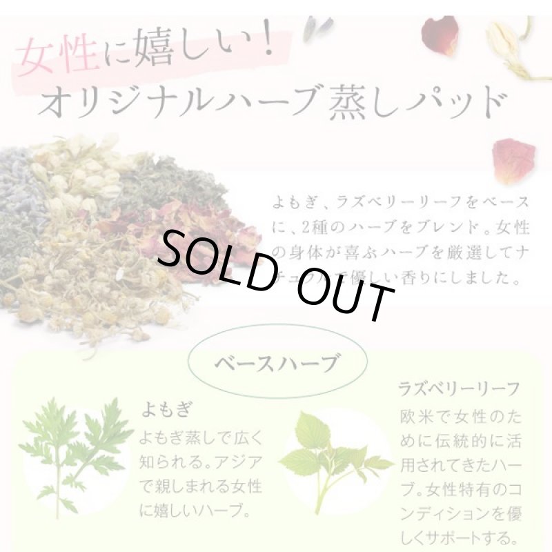 画像3: 別売り骨盤ゆたんぽ「よもにん」ハーバルリズム用パッド (3)