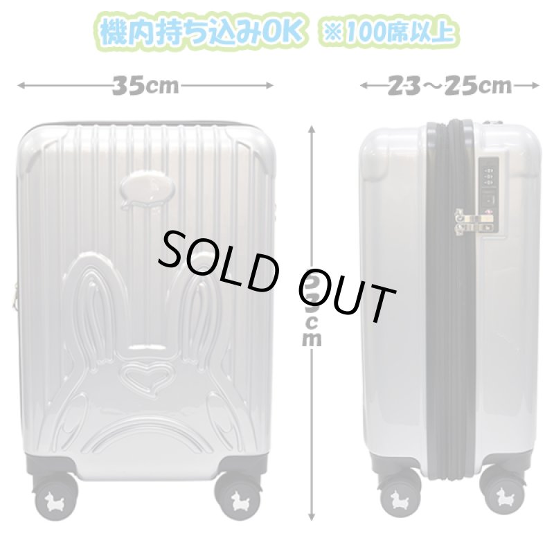 画像8: RODYロディキャリーケース (8)