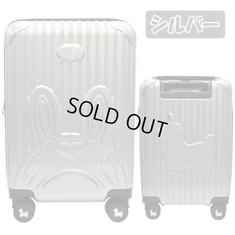 画像13: RODYロディキャリーケース (13)