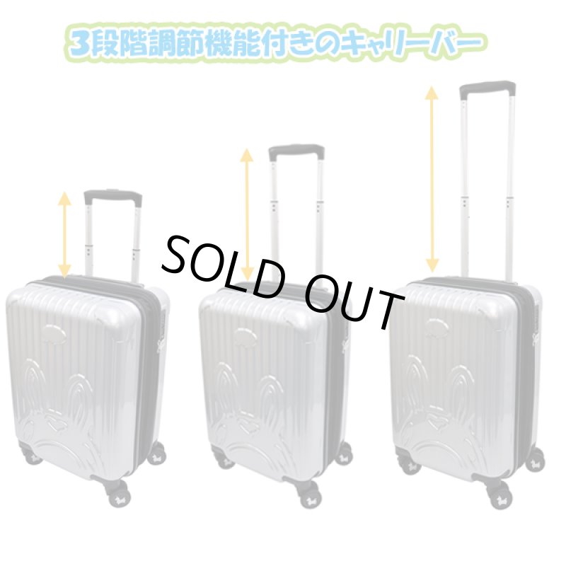 画像5: RODYロディキャリーケース (5)