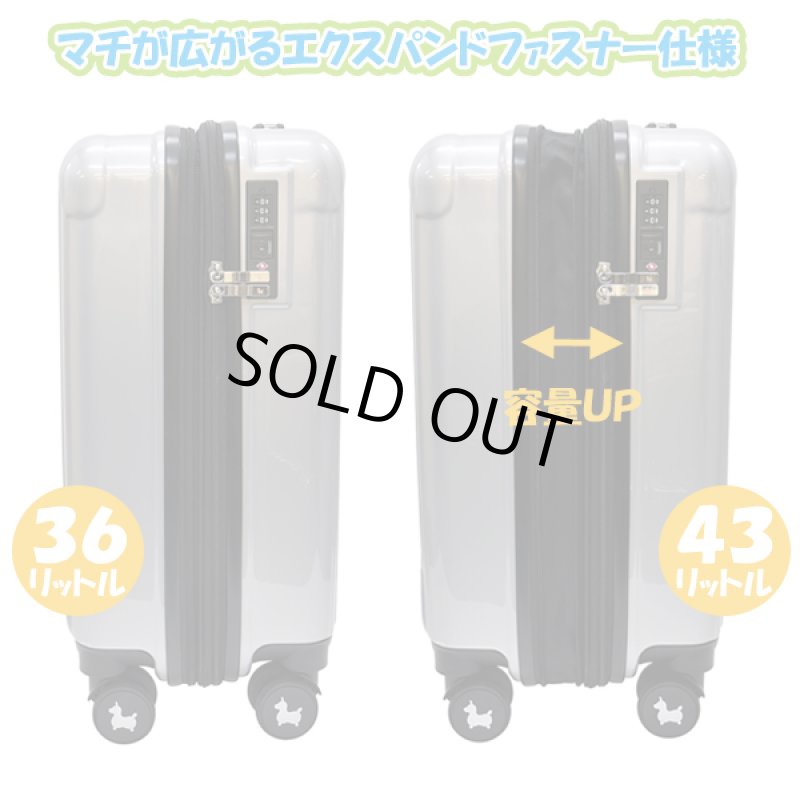 画像6: RODYロディキャリーケース (6)