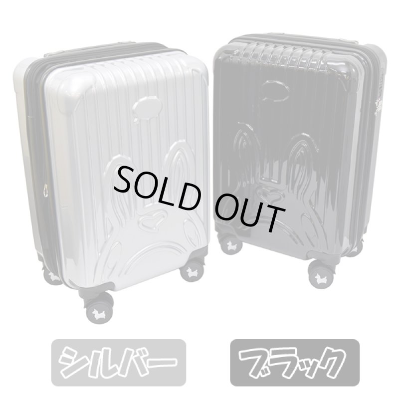 画像11: RODYロディキャリーケース (11)