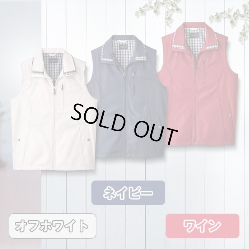 画像9: TROY BROS(トロイブロス) 撥水加工裏メッシュベスト (9)