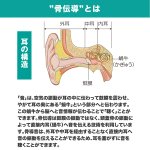 画像6: Bluetooth搭載骨伝導ヘッドホン「ITSUMO(イツモ）」 (6)