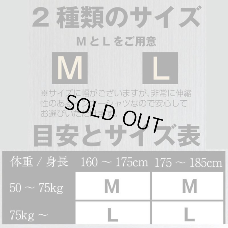 画像3: 新庄剛志プロデュース加圧シャツ「VIDAN THE BEAST -White-」お得な 3枚セット (3)