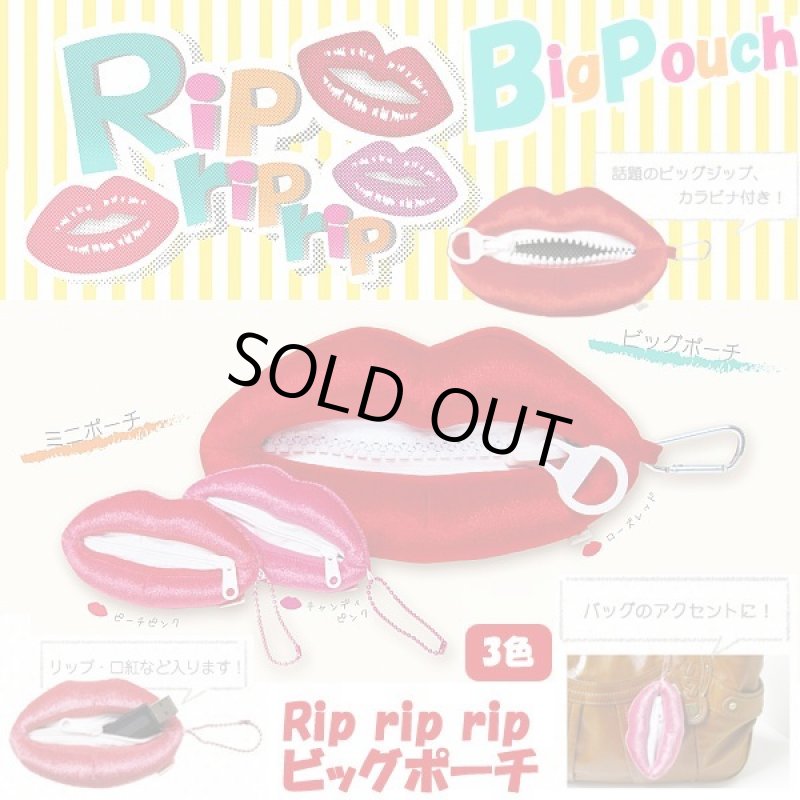 画像1: Rip rip ripビッグポーチ (1)