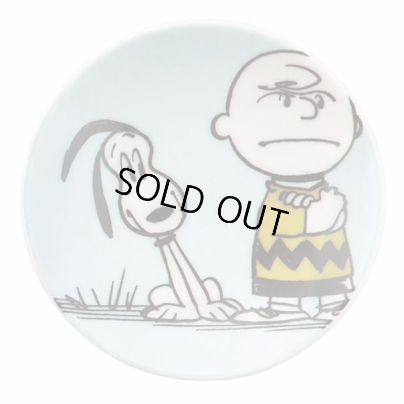 画像4: スヌーピーヴィンテージ豆皿5枚組 (4)