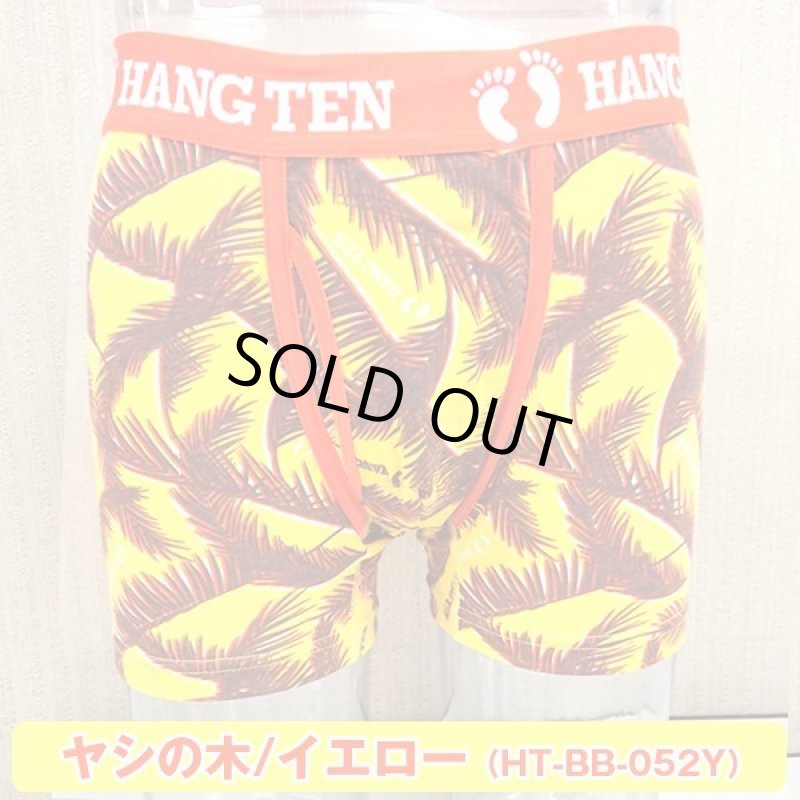 画像8: HANGTEN吸水速乾「スタンダードプリントボクサーパンツLサイズ2枚セット」2019モデル (8)