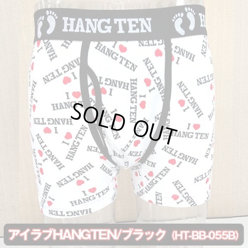 画像15: HANGTEN吸水速乾「スタンダードプリントボクサーパンツLサイズ2枚セット」2019モデル (15)