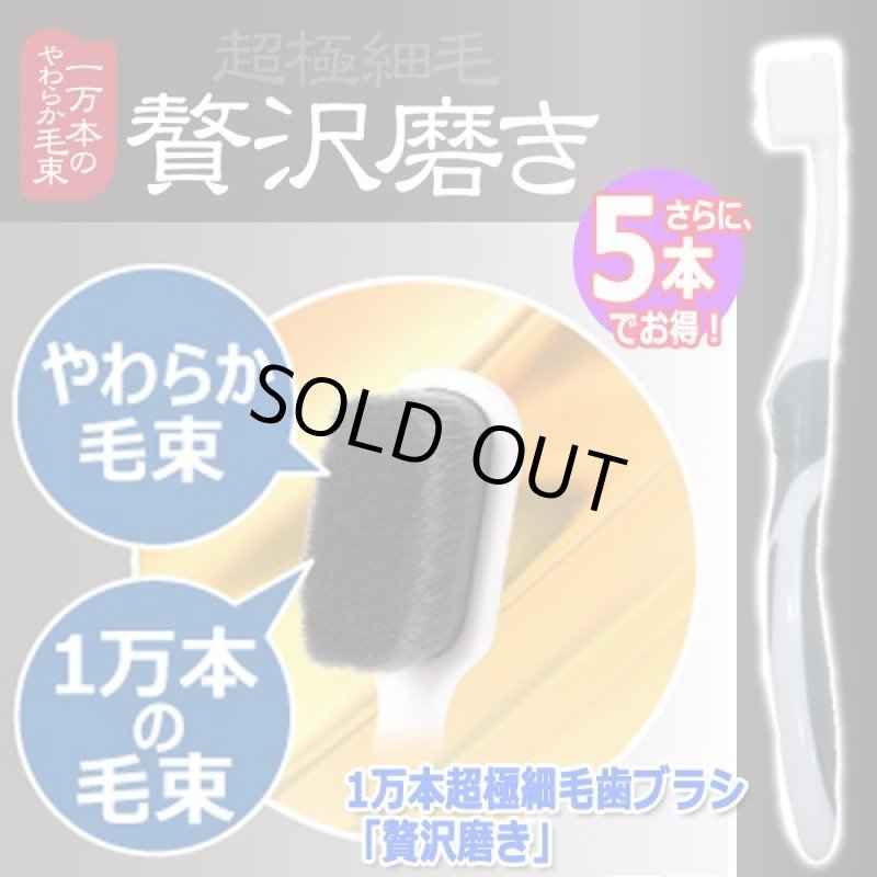 画像4: 1万本超極細毛歯ブラシ「贅沢磨き」（5本） (4)