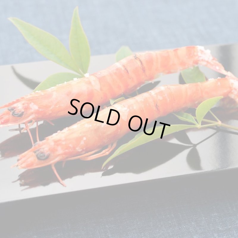 画像2: 年末おせち用「天草産車海老活〆生冷凍」 (2)