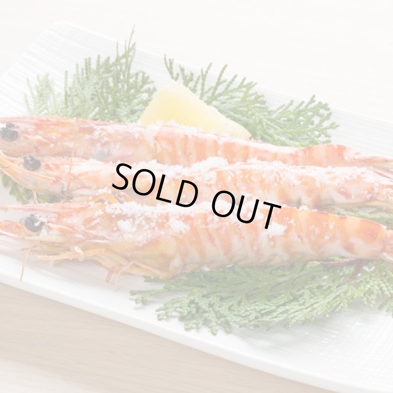 画像3: 年末おせち用「天草産車海老活〆生冷凍」 (3)