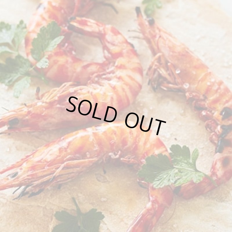 画像5: 年末おせち用「天草産車海老活〆生冷凍」 (5)